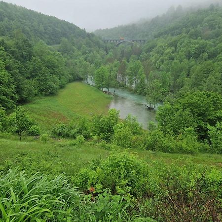 スモーヤナクPlitvice Zgアパートメント エクステリア 写真