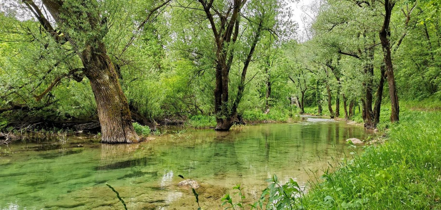 スモーヤナクPlitvice Zgアパートメント エクステリア 写真